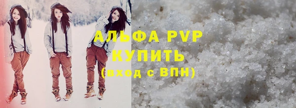 прущие грибы Горнозаводск