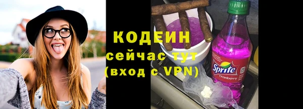прущие грибы Горнозаводск