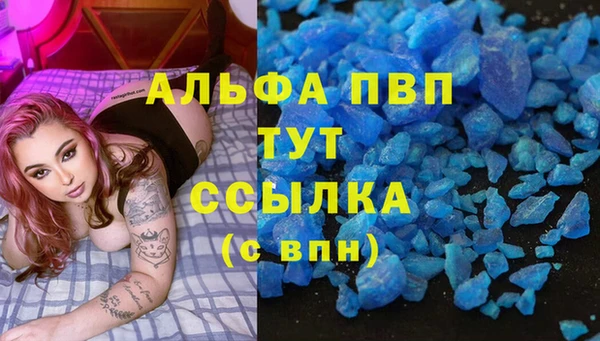 прущие грибы Горнозаводск