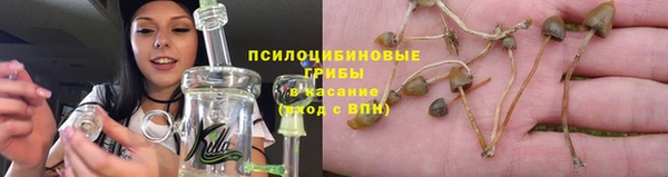 гашик Горняк