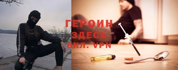 прущие грибы Горнозаводск