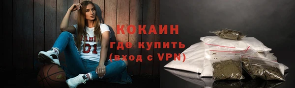 прущие грибы Горнозаводск