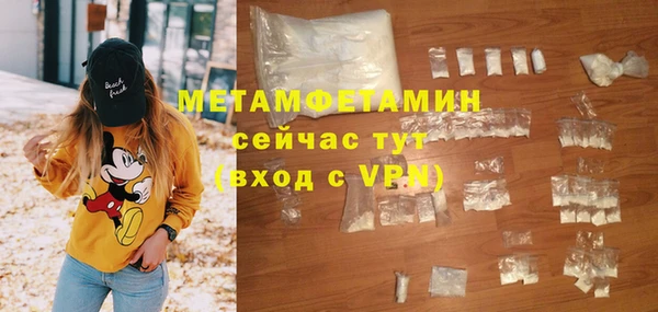 прущие грибы Горнозаводск