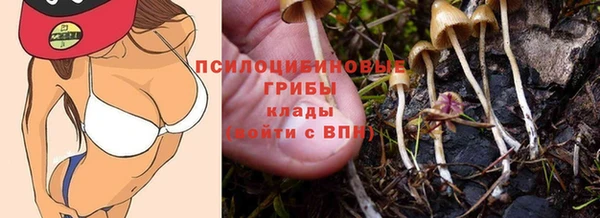 гашик Горняк
